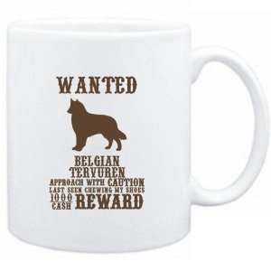   Wanted Belgian Tervuren   $1000 Cash Reward  Dogs