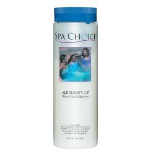  2 Lbs. Alkalinity Up for Spas and Hot Tubs Spa Choice 