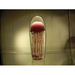  Gallery Mega Red Jellyfish 12 Paper Weight Office 