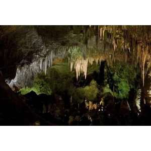  Carlsbad caverns nationalpark   Peel and Stick Wall Decal 