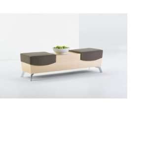   Reception Lounge Lobby Contemporary 2 Seat Bench with Center Table