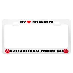  A Glen Of Imaal Terrier Dog Pet White Metal License Plate 