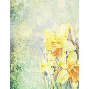  Charming Daffodils   100 Cards 