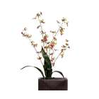 VCO 29 Potted Artificial Tiger Orchid Silk Flower Arrangement