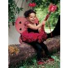   Ladybug Toddler / Child Costume / Black/Red   Size X Small (4