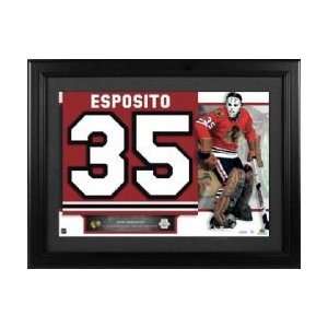 NHL Retired Jersey Numbers Collection Tony Esposito   Chicago 