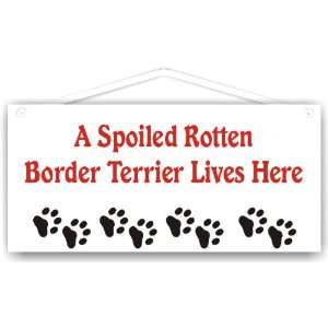 Spoiled Rotten Border Terrier Lives Here