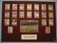 St. Louis Cardinals 1964 World Series Champions  