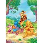 Disney Winnie the Pooh Summer Days Blanket