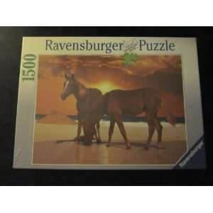  Arab Horse on the Beach 1500 Piece Ravensburger Puzzle 