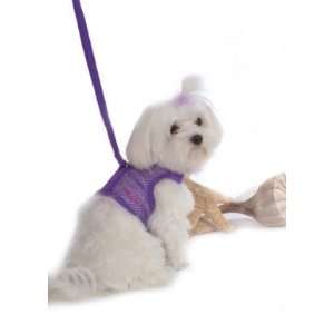  Purple Mesh Dog Harness Vest w/ leash XL 