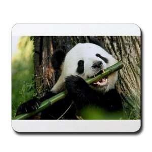  Mousepad (Mouse Pad) Panda Bear Eating 