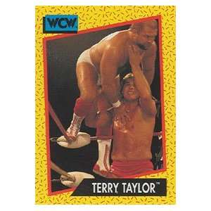   Trading Card #70  Terry Taylor 