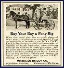 pony buggy  