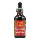 African Red Tea Imports Pelargonium Roots Tinc Tract in Glass Bottle 