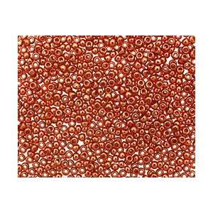   African Sunset Round 11/0 Seed Bead Seed Beads Arts, Crafts & Sewing