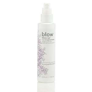  Blow Hair Care Blow Up Root Lift Concenfrate (5.oz 
