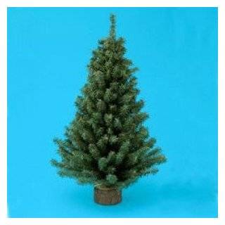 Lemax 34968 Pine Tree Accessories for Village 