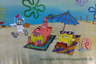 Spongebob Serie   Rückwand für Aquarien 60 x 40 cm  