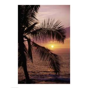  Kohala Coast at sunset, The Big Island, Hawaii, USA Poster 