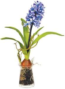 Hyacinth Bulb Glass Vase 7 Artificial Silk Arrangement  