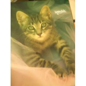  Happy Tails Folder ~ Kitten in Lace