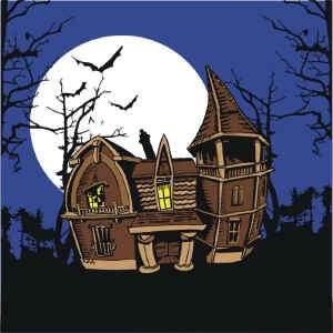 We supply the four silks. The haunted house is about 18 x 18 and the 