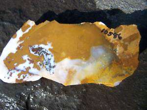Polka Dot Agate Rock Chunk Lapidary Great For Cabs  