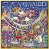 Steve Winwood Steve Winwood  Musik