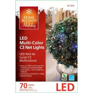 Home Accents Holiday 70 Light LED Multi Color Net Lights (Set of 2 