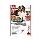 Bayer Advantage II Spot On 4 Pack For Dogs 21   55 lb