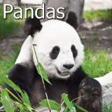  Kalender 2012 Panda   Pandas   Pandabär Weitere Artikel 
