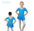 Sweet Girls Ballet Dress Costume Tutu Leotards Ballerina Fancy Dress 2 