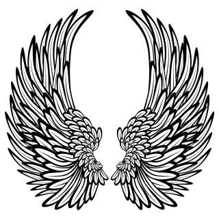 Angel Wings With Feathers Wall Stickers / Wall Decals 5053379001364 