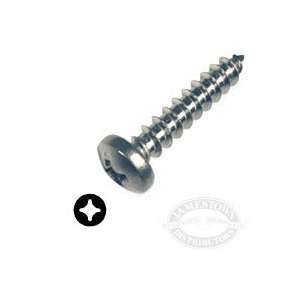  #12 Chrome S/S Pan Head Phillips Self Tapping Screws 12 x 