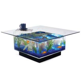   Filtered AQUARIUM COFFEE TABLE Beveled Tempered Glass Top  