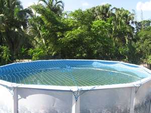 ROUND ABOVE GROUND SWIMMING POOL SAFETY NET COVER WATER WARDEN 15 18 