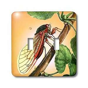  Taiche Acrylic Art   Insects Cicada   Light Switch Covers 