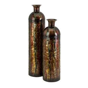  Set of 2 Snake Skin Design Earth Toned Decorative Bottles 