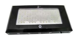 LIGHTHOUSE HYDRO 240W Blackstar HO LED Grow Light 3w LEDs 6 Band 