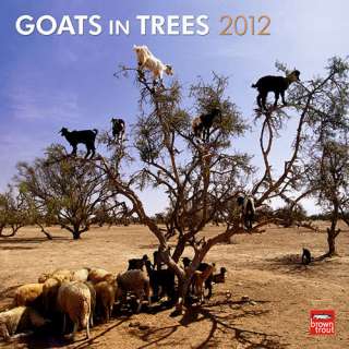 Goats in Trees 2012 Wall Calendar 9781421674971  