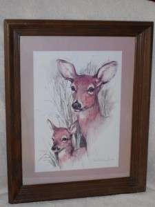 Wild Life Deer Fawn Print By Artist Paul Whitney Hunter  