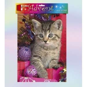  Christmas Kitten Advent Calendar