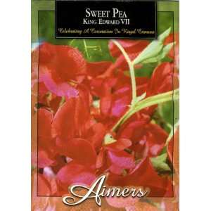  Aimers 3292 Sweet Pea King Edward VII (Crimson) Seed 