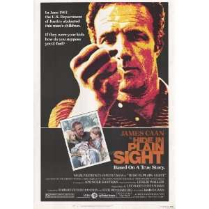   Poster 27x40 James Caan Jill Eikenberry Robert Viharo