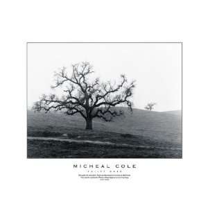  Michael Cole   Valley Oaks LAST ONES IN INVENTORY
