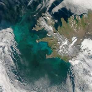  Phytoplankton Bloom in the North Atlantic Ocean 