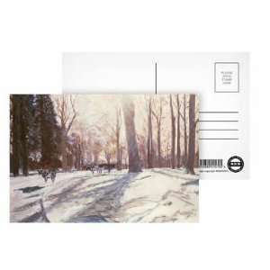 Snow at Broadlands by Paul Stewart   Postcard (Pack of 8)   6x4 inch 