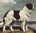 vintage dog art, dog prints items in Dogs On The Net 