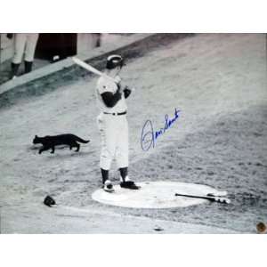 Ron Santo Chicago Cubs   Black Cat at Shea Stadium   16x20 Autographed 